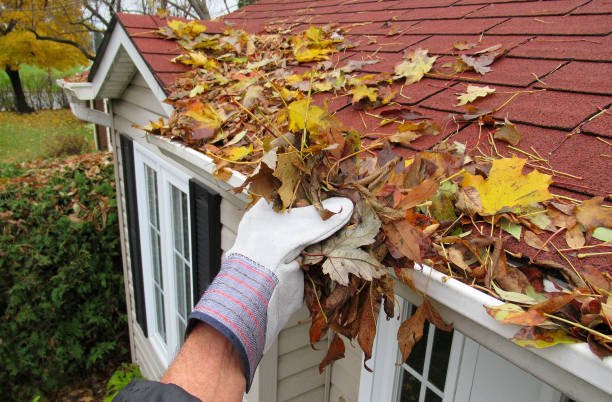 gutter cleaning filled leaves