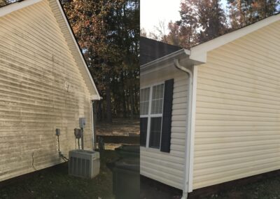 before after ecoblast siding mold