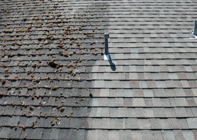 wash safe roof before and after
